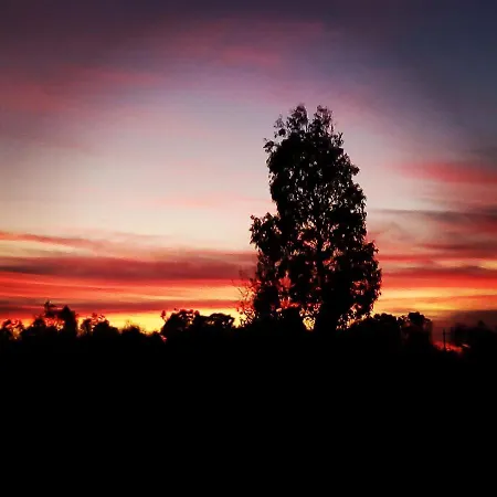 Nicuzza فندق مبيت وإفطار مارتانو