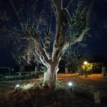 Nicuzza Bed and Breakfast Martano