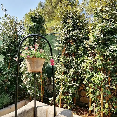 Bed & Breakfast Nicuzza Martano