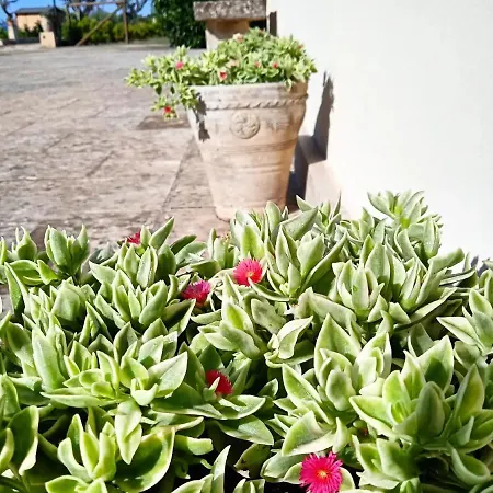 Bed & Breakfast Nicuzza 3*