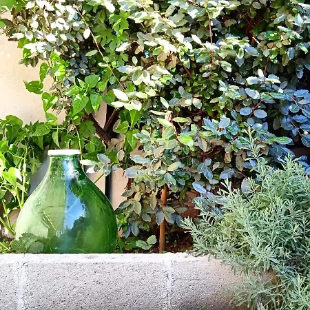 Bed & Breakfast Nicuzza 3*