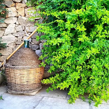 فندق مبيت وإفطار Nicuzza