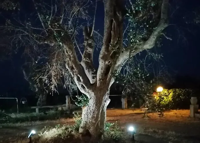 Nicuzza Bed and breakfast Martano