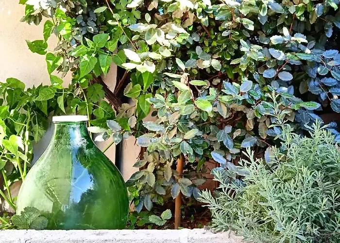 Bed and breakfast Nicuzza 3*